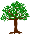 Direct mail for Timber Buyers Logo